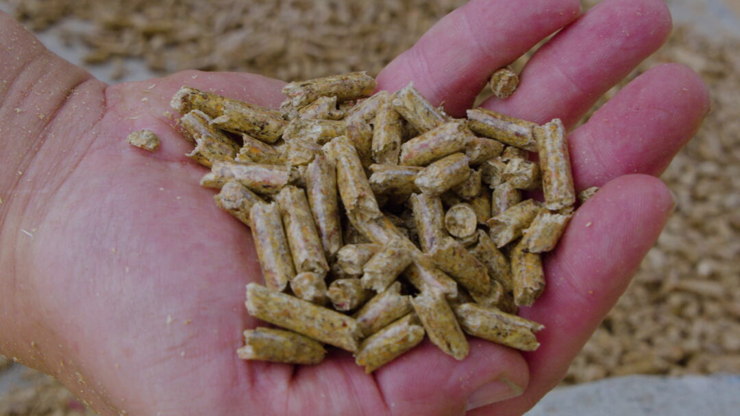 hand holding pellets