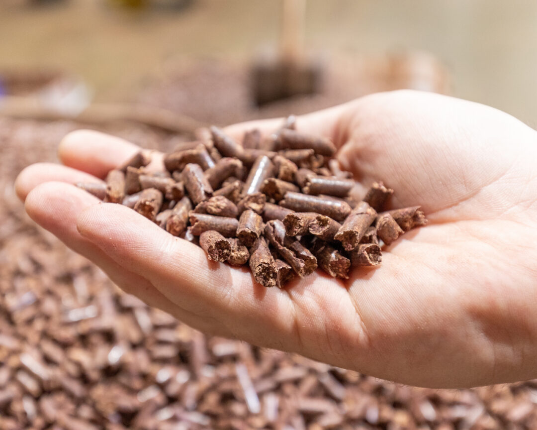 hand holding wood pellets