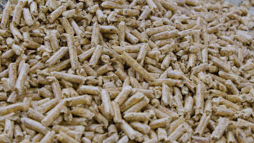 close-up of pellets.