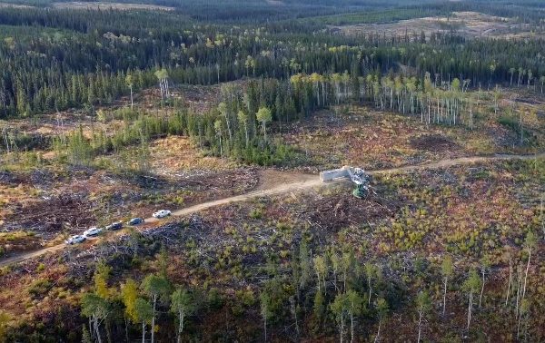 aerial of harvesting in a forest.