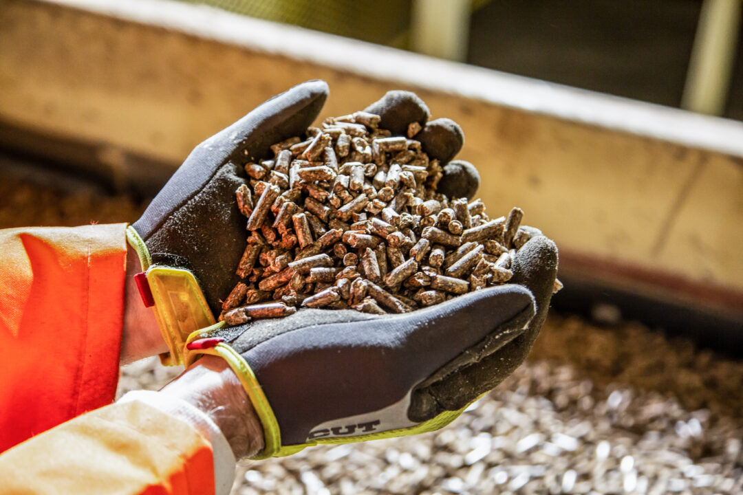 hands wearing safety gloves holding pellets
