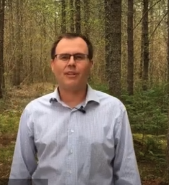 Person in the forest